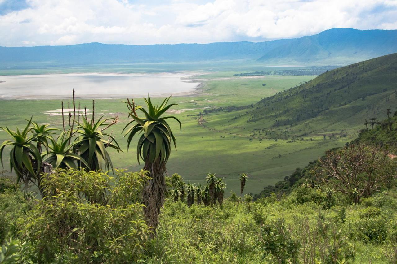 Africa Safari South Serengeti Ndutu Ngorongoro Sinoni 外观 照片