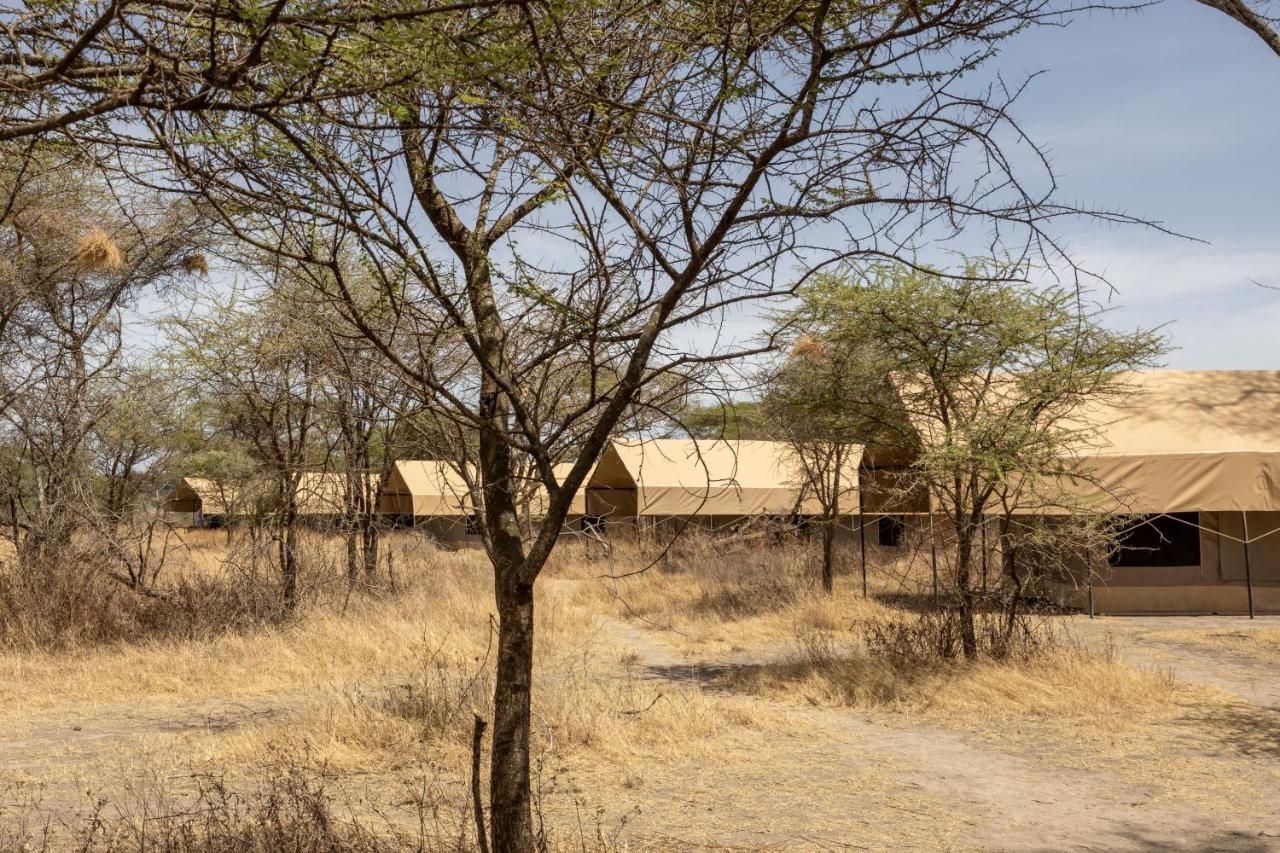 Africa Safari South Serengeti Ndutu Ngorongoro Sinoni 外观 照片