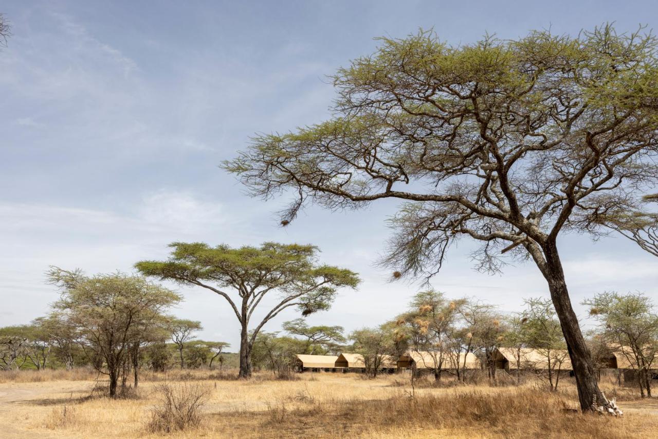 Africa Safari South Serengeti Ndutu Ngorongoro Sinoni 外观 照片