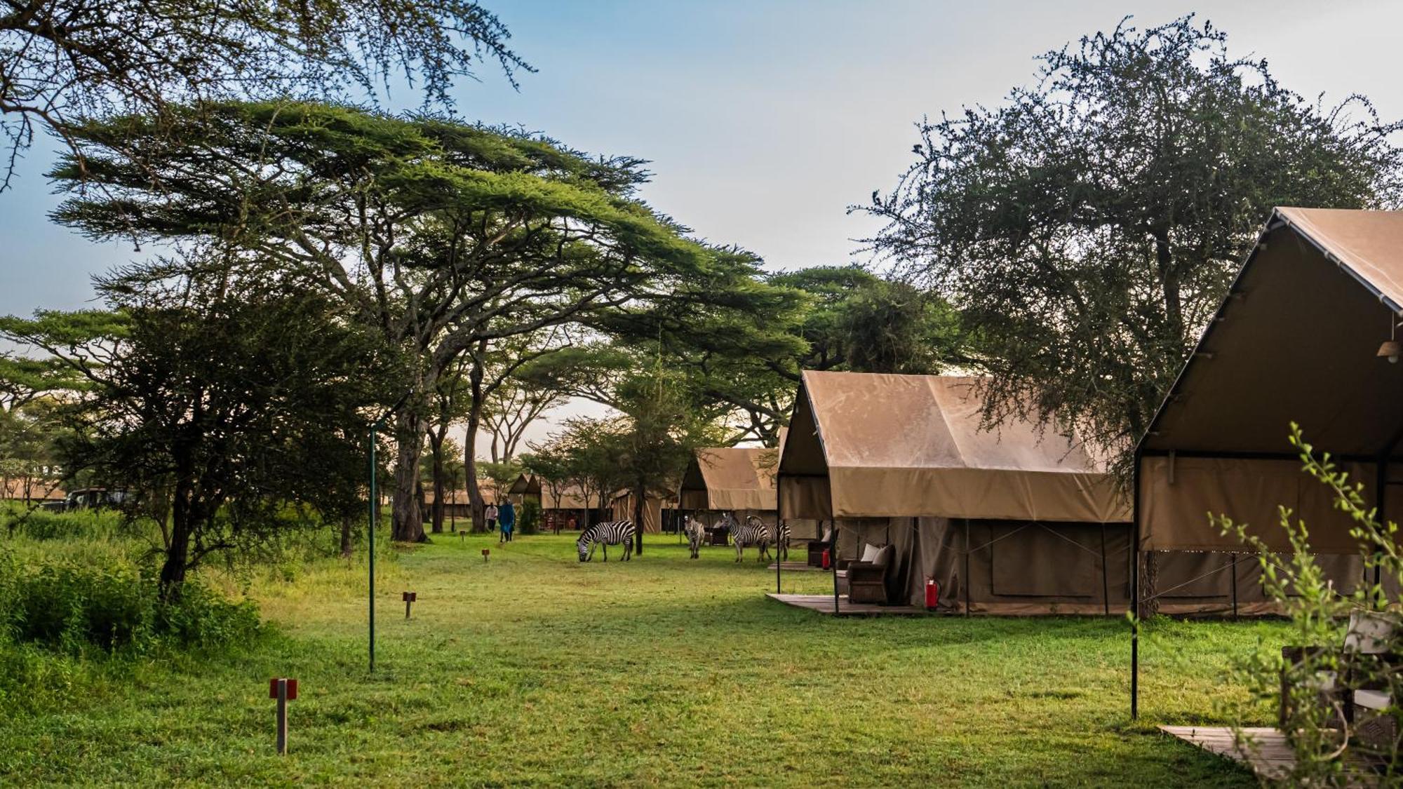 Africa Safari South Serengeti Ndutu Ngorongoro Sinoni 外观 照片