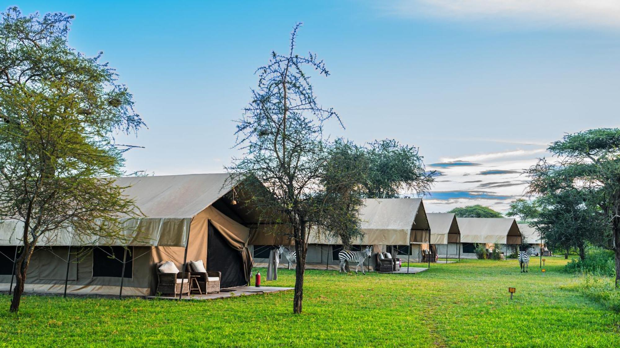 Africa Safari South Serengeti Ndutu Ngorongoro Sinoni 外观 照片