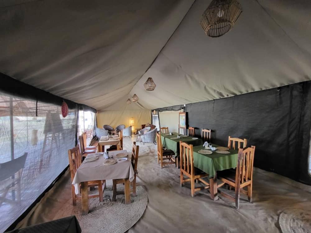Africa Safari South Serengeti Ndutu Ngorongoro Sinoni 外观 照片